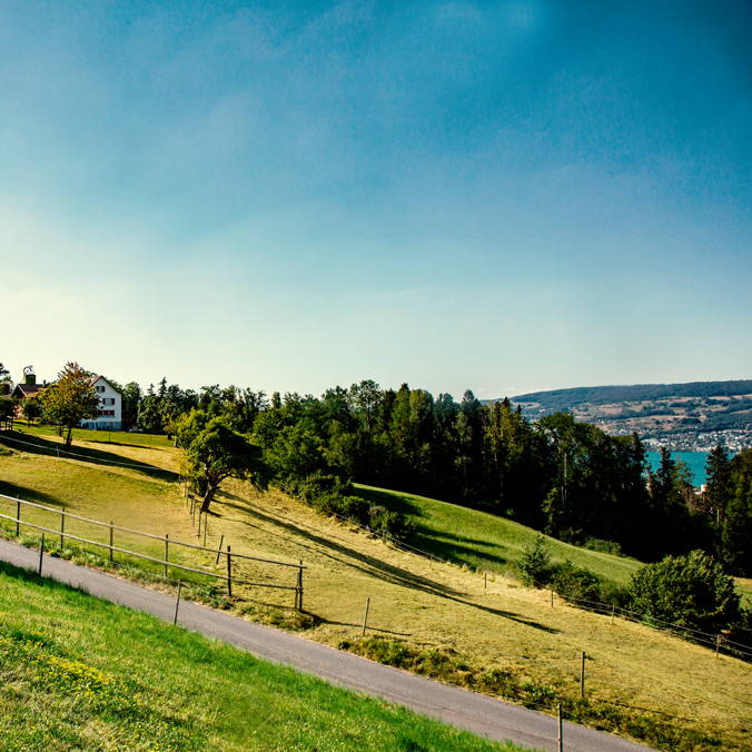 gulmenhof_aussicht.jpg gulmenhof_aussicht.jpg