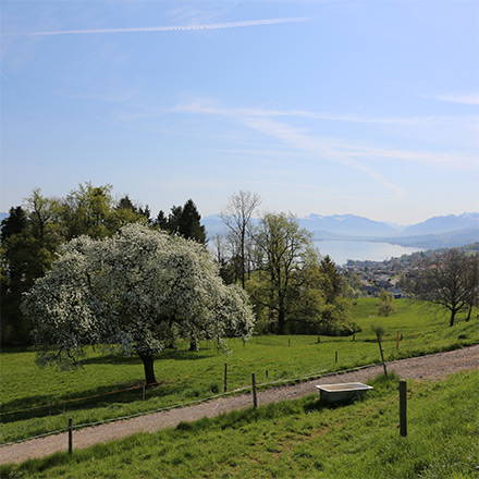 betrieb_see.jpg betrieb_see.jpg