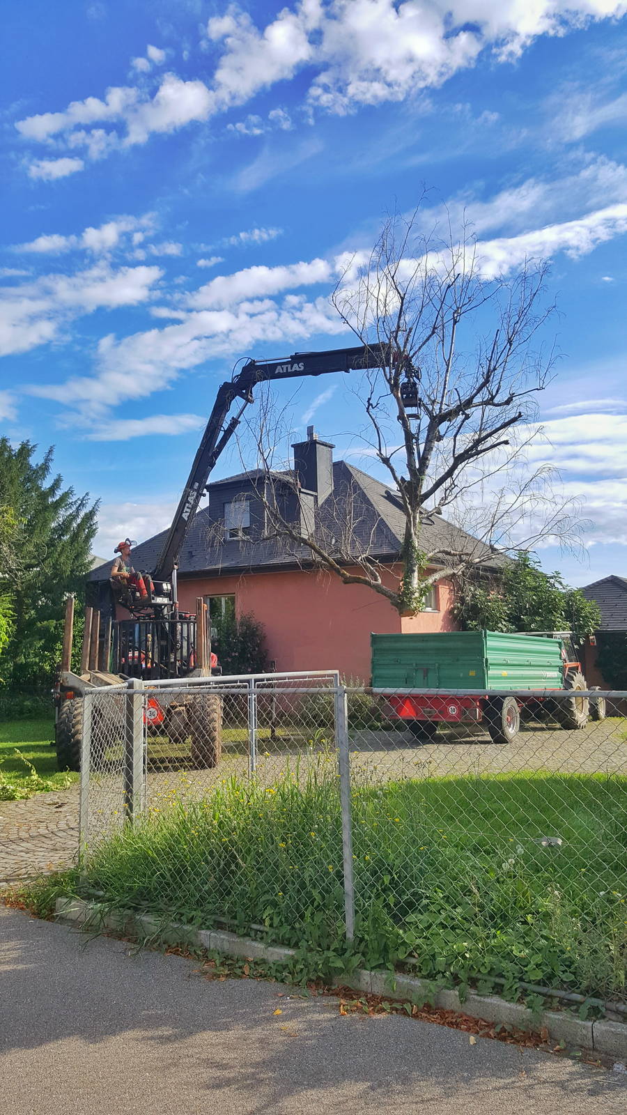 baumfaellung_mit_kran.jpeg